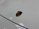 Autoscout Image 40